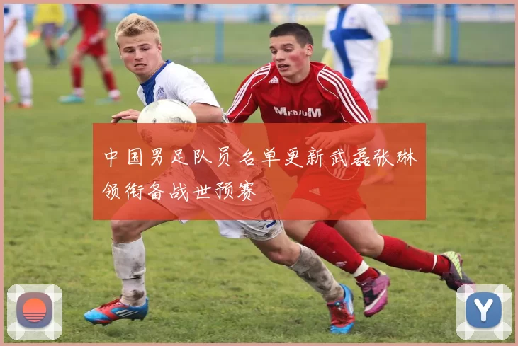 中国男足队员名单更新武磊张琳芃领衔备战世预赛