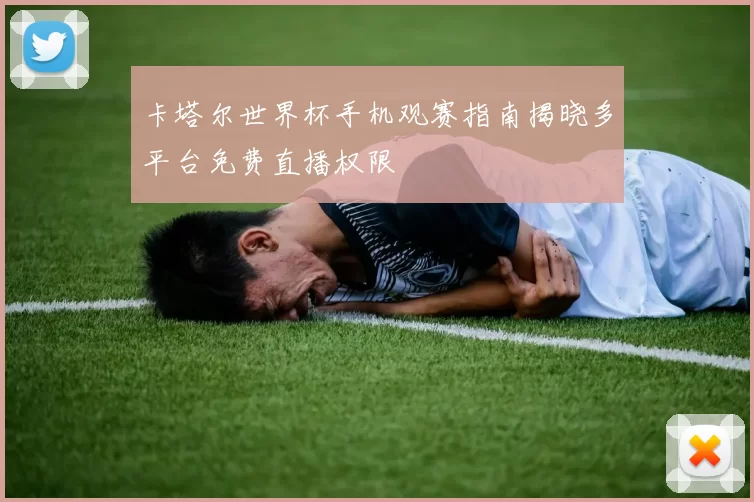 卡塔尔世界杯手机观赛指南揭晓多平台免费直播权限