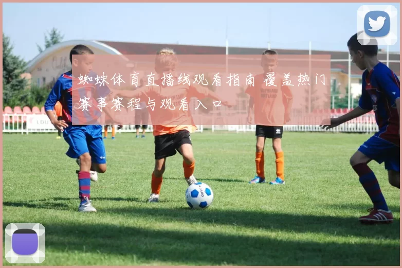 蜘蛛体育直播线观看指南 覆盖热门赛事赛程与观看入口